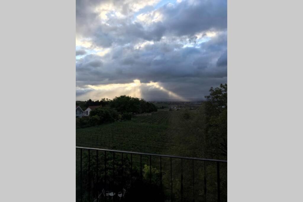 Wunderschoene Wohnung Mit Blick Auf Die Weinberge Neustadt an der Weinstrasse Exterior photo