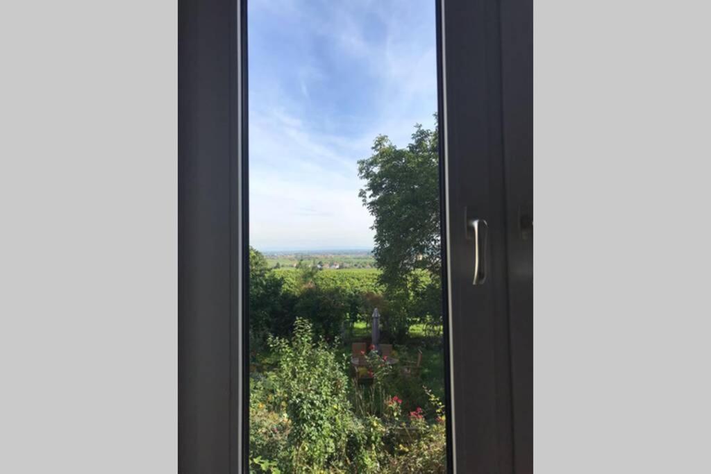 Wunderschoene Wohnung Mit Blick Auf Die Weinberge Neustadt an der Weinstrasse Exterior photo